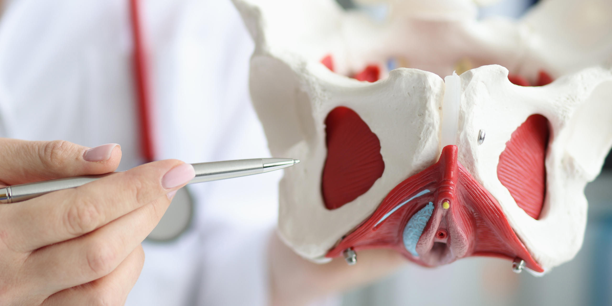 fisio pelvica em MAceio- Emmanuele Albuquerque